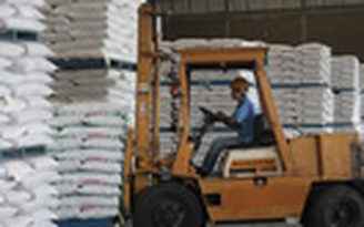 Đẩy mạnh xuất khẩu gạo sang Nhật Bản và Hàn Quốc